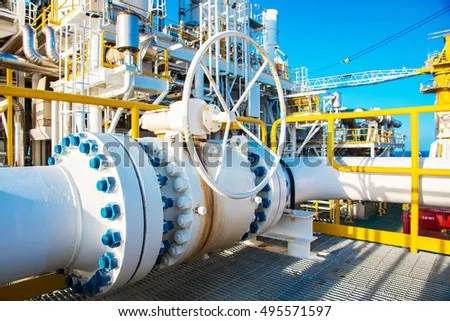Professional Plumbing Services Showcase