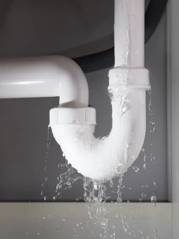 Professional Plumbing Services Showcase
