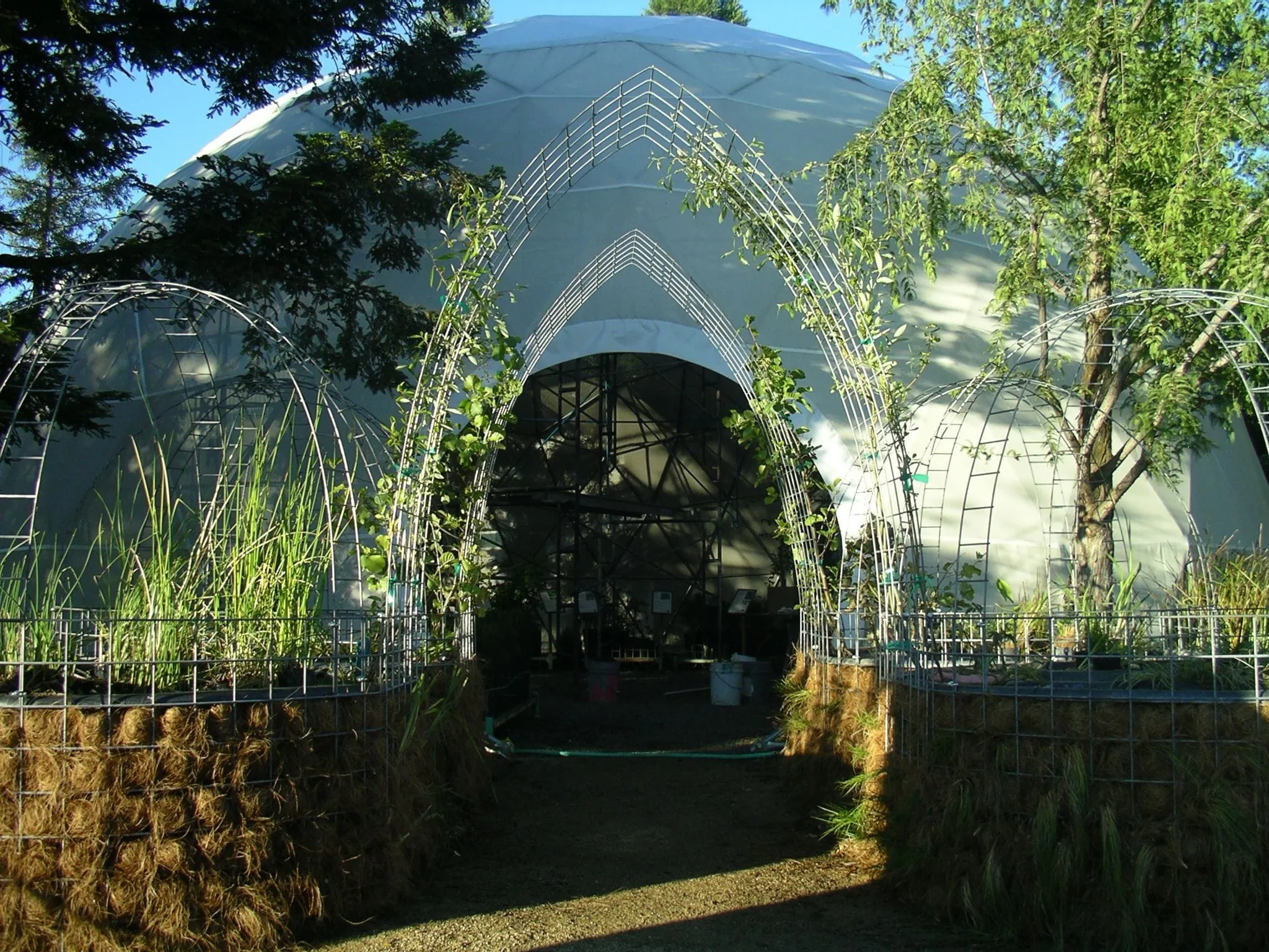 Structural Engineering Showcase